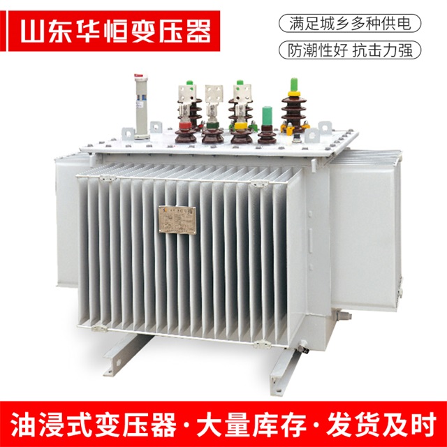 S13-10000/35汝州汝州汝州电力变压器